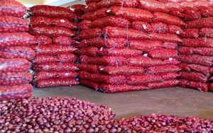 भारत ने यूएई, बांग्लादेश को 64,400 टन प्याज निर्यात की अनुमति दी भारत ने यूएई, बांग्लादेश को 64,400 टन प्याज निर्यात की अनुमति दी