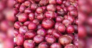 भारत ने प्रतिबंध हटने के बाद 45,000 टन से अधिक प्याज का निर्यात किया