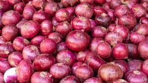 भारत ने प्रतिबंध हटने के बाद 45,000 टन से अधिक प्याज का निर्यात किया