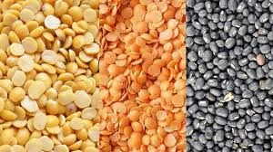 समर्थन मूल्य  पर तुअर, उड़द और मसूर खरीदेगी सरकार