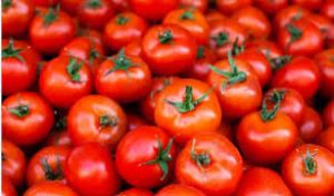 आपूर्ति में सुधार से टमाटर की खुदरा कीमतों में 22.4 प्रतिशत की गिरावट: सरकार आपूर्ति में सुधार से टमाटर की खुदरा कीमतों में 22.4 प्रतिशत की गिरावट: सरकार