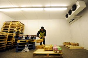 एपीडा की योजनाओं से भारत के फल और सब्जी निर्यात में 47.3 प्रतिशत की वृद्धि एपीडा की योजनाओं से भारत के फल और सब्जी निर्यात में 47.3 प्रतिशत की वृद्धि