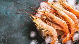  भारत शुल्क बढ़ोतरी में रोक के फैसले के बाद अमेरिका को 40,000 टन झींगा भेजने की तैयारी में