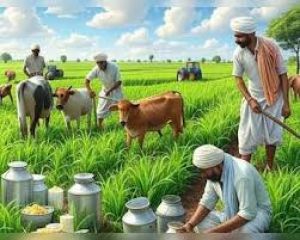 डेयरी और कृषि से जुड़े सामानो पर जीएसटी में कटौती से 10 करोड़ किसानों को फायदा डेयरी और कृषि से जुड़े सामानो पर जीएसटी में कटौती से 10 करोड़ किसानों को फायदा