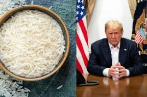 चावल निर्यातक अमेरिका में अतिरिक्त शुल्क के खतरे से बेपरवाह, 'डंपिंग' के आरोप को नकारा