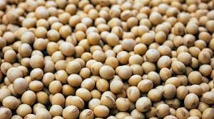 ऊंची कीमतों के कारण सोया खली निर्यात में 37.50 प्रतिशत की गिरावट