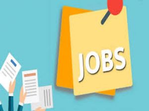  बालोद में 16 जुलाई को होगा प्लेसमेंट कैंप का आयोजन