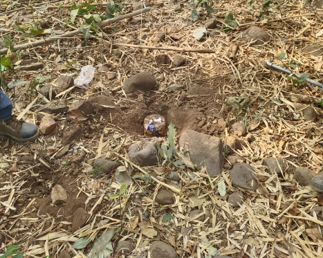 बीजापुर जिले में आईईडी विस्फोट में 1 जवान घायल, 3 आईईडी बरामद बीजापुर जिले में आईईडी विस्फोट में 1 जवान घायल, 3 आईईडी बरामद