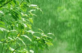 छत्तीसगढ़ में अब तक 257.0 मि.मी. औसत वर्षा दर्ज छत्तीसगढ़ में अब तक 257.0 मि.मी. औसत वर्षा दर्ज