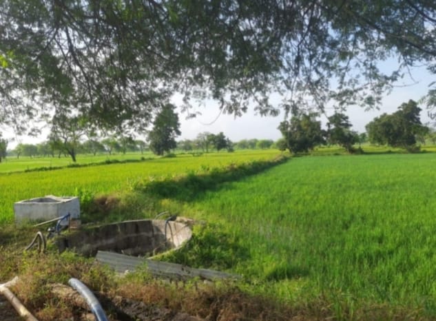 मनरेगा से बने कुएं से कृष्णा बाई को खेती-किसानी में मिल रही सुविधा मनरेगा से बने कुएं से कृष्णा बाई को खेती-किसानी में मिल रही सुविधा