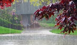 छत्तीसगढ़ में अब तक 899.5 मि.मी. औसत वर्षा दर्ज छत्तीसगढ़ में अब तक 899.5 मि.मी. औसत वर्षा दर्ज