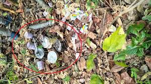 माओवादियों द्वारा छिपाकर रखे गए नौ आईईडी जब्त माओवादियों द्वारा छिपाकर रखे गए नौ आईईडी जब्त