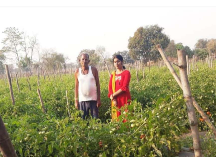 सोमप्रसाद के जीवन में उद्यानिकी खेती से आया बदलाव सोमप्रसाद के जीवन में उद्यानिकी खेती से आया बदलाव