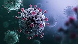 कोविड-19 से बचाव एवं रोकथाम की तैयारी कोविड-19 से बचाव एवं रोकथाम की तैयारी