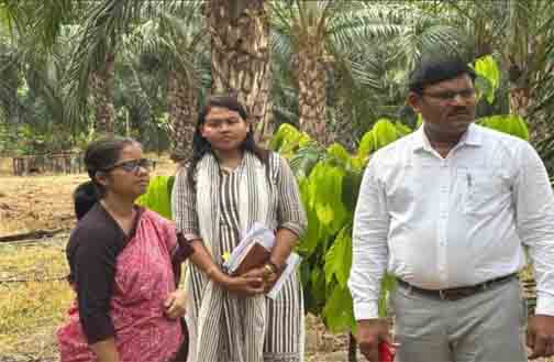 कृषि उत्पादन आयुक्त द्वारा बागबाहरा में आयल पॉम प्रक्षेत्रों का निरीक्षण कृषि उत्पादन आयुक्त द्वारा बागबाहरा में आयल पॉम प्रक्षेत्रों का निरीक्षण