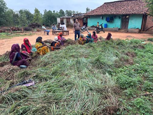 गौरेला पेण्ड्रा मरवाही : लेमन ग्रास की खुशबू से महकेगा समूह की महिलाओं का भविष्य गौरेला पेण्ड्रा मरवाही : लेमन ग्रास की खुशबू से महकेगा समूह की महिलाओं का भविष्य