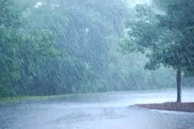 छत्तीसगढ़ में अब तक 364.1 मि.मी. औसत वर्षा दर्ज छत्तीसगढ़ में अब तक 364.1 मि.मी. औसत वर्षा दर्ज