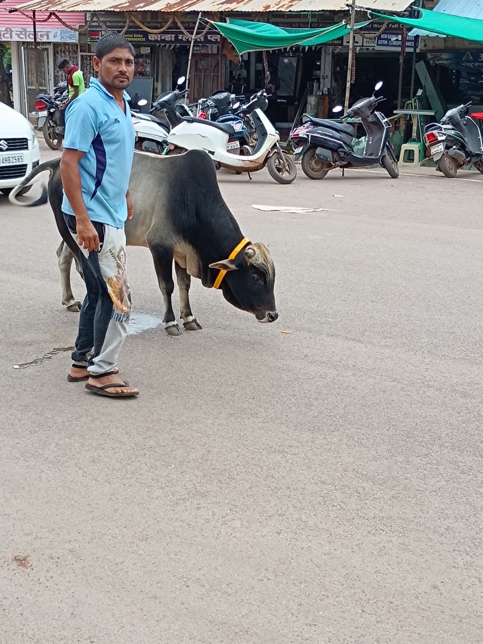 आवारा मवेशियों की रोकथाम हेतु नगर निगम की कार्रवाई जारी आवारा मवेशियों की रोकथाम हेतु नगर निगम की कार्रवाई जारी