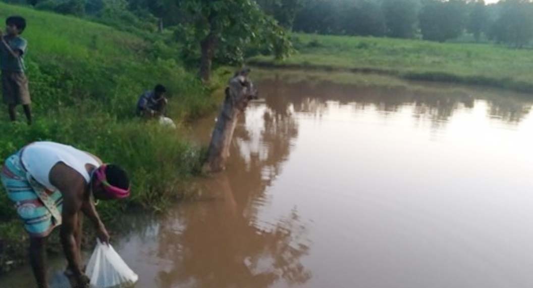 जल संरक्षण से बदली बैगा बाहुल्य ग्राम इन्द्रिपानी की तस्वीर जल संरक्षण से बदली बैगा बाहुल्य ग्राम इन्द्रिपानी की तस्वीर