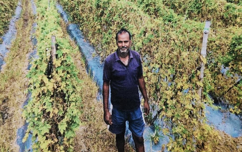 राष्ट्रीय बागवानी मिशन ने बदली कृषक दशरथ पटेल की आर्थिक तस्वीर राष्ट्रीय बागवानी मिशन ने बदली कृषक दशरथ पटेल की आर्थिक तस्वीर