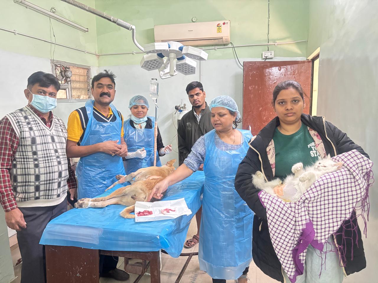 जिले में पशु जन्म नियंत्रण कार्यक्रम का प्रभावी क्रियान्वयन जिले में पशु जन्म नियंत्रण कार्यक्रम का प्रभावी क्रियान्वयन