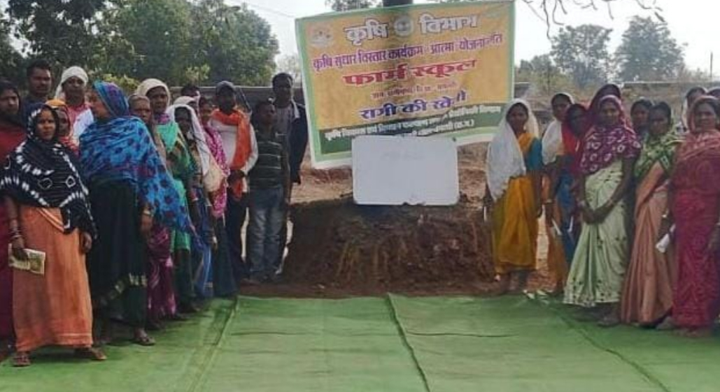 50 वर्षों बाद धमतरी के आदिवासी अंचल में रबी खेती की वापसी 50 वर्षों बाद धमतरी के आदिवासी अंचल में रबी खेती की वापसी