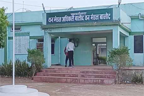 बालोद वनमण्डल क्षेत्र में वृक्षों की अवैध कटाई एवं परिवहन पर की जा रही कार्रवाई बालोद वनमण्डल क्षेत्र में वृक्षों की अवैध कटाई एवं परिवहन पर की जा रही कार्रवाई