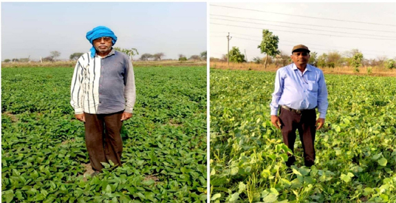 बेमेतरा जिले में दलहन के रकबे में चार गुना की वृद्धि बेमेतरा जिले में दलहन के रकबे में चार गुना की वृद्धि