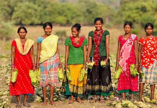 सुकमा के तेंदूपत्ता संग्राहकों को बड़ी राहत : 42 हजार से अधिक परिवारों के खातों में पहुंचे 40.72 करोड़ रूपए सुकमा के तेंदूपत्ता संग्राहकों को बड़ी राहत : 42 हजार से अधिक परिवारों के खातों में पहुंचे 40.72 करोड़ रूपए