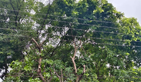 मुख्यमंत्री हेल्पलाइन बनी समाधान का माध्यम मुख्यमंत्री हेल्पलाइन बनी समाधान का माध्यम
