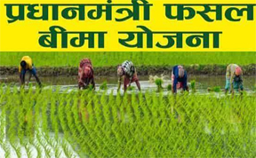 जिले के किसान 31 जुलाई तक करा सकेंगे उद्यानिकी फसलों का बीमा जिले के किसान 31 जुलाई तक करा सकेंगे उद्यानिकी फसलों का बीमा