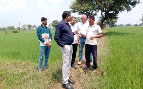 संयुक्त आयुक्त भूअभिलेख ने दुर्ग में डीसीएस के कार्यों का किया निरीक्षण संयुक्त आयुक्त भूअभिलेख ने दुर्ग में डीसीएस के कार्यों का किया निरीक्षण