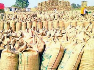 बालोद जिले में अब तक 04 लाख 17 हजार 947 मीट्रिक टन से अधिक धान की हुई खरीदी बालोद जिले में अब तक 04 लाख 17 हजार 947 मीट्रिक टन से अधिक धान की हुई खरीदी