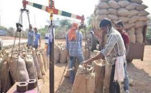 बालोद जिले में अब तक 06 लाख 39 हजार 196 मेट्रिक टन से अधिक धान खरीदी