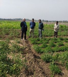 भविष्य में आर्टीफिशियल इंटेलीजेंस द्वारा खरपतवार प्रबंधन होगा भविष्य में आर्टीफिशियल इंटेलीजेंस द्वारा खरपतवार प्रबंधन होगा