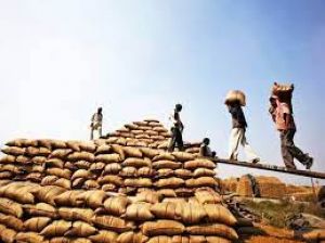 राज्य में 112 लाख 82 हजार मीट्रिक टन धान का उठाव