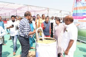 राजनांदगांव  जिले के नौ गांवों में फैला है सोलर पावर प्लांट