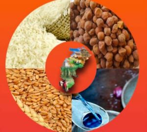  67 लाख 59 हजार राशन कार्डधारियों ने किया नवीनीकरण के लिए ऑनलाइन आवेदन