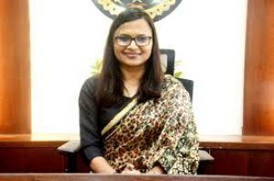 जिले मेें पदस्थ राज्य प्रशासनिक सेवा के अधिकारियों के मध्य कार्य विभाजन