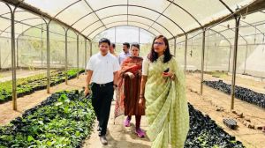  साथी परियोजना के अंतर्गत तालपुरी में बनेगी क्षेत्रीय कृषि उत्पादों की मंडी