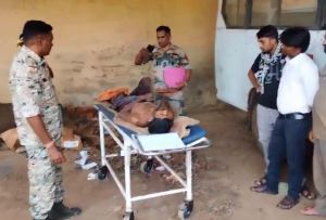 तेंदुपत्ता तोडऩे गए ग्रामीण पर जंगली सूअर ने किया हमला, मौत तेंदुपत्ता तोडऩे गए ग्रामीण पर जंगली सूअर ने किया हमला, मौत