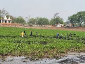 एक अच्छी पहल श्रमदान जन सहयोग से हो रही है ढौर तालाब की सफाई  