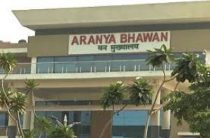  जंगलों को आग से बचाने के लिए हुए व्यापक इंतजाम