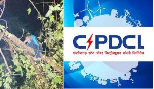 देवभोग के घने जंगल में खतरों से जूझते हुए की बिजली आपूर्ति बहाल देवभोग के घने जंगल में खतरों से जूझते हुए की बिजली आपूर्ति बहाल