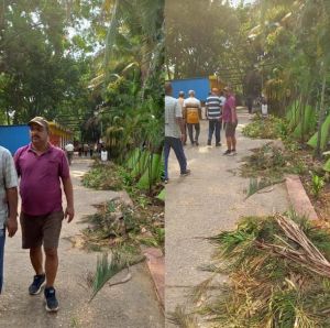 नेहरू नगर भेलवा तालाब सफाई के साथ साथ पेड़ो की कटाई, छटाई ट्रिमिंग शुरू नेहरू नगर भेलवा तालाब सफाई के साथ साथ पेड़ो की कटाई, छटाई ट्रिमिंग शुरू