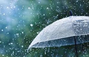 दुर्ग जिले में अब तक 78.1 मि.मी. औसत वर्षा दर्ज