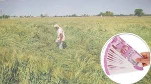 मुआवजा पाने एसडीएम ऑफिस में जमा करें जानकारी मुआवजा पाने एसडीएम ऑफिस में जमा करें जानकारी