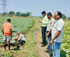 आरबीसी 6-4 के तहत 06 लाख 46 हजार 3 सौ 80 रूपये की आर्थिक सहायता राशि वितरित आरबीसी 6-4 के तहत 06 लाख 46 हजार 3 सौ 80 रूपये की आर्थिक सहायता राशि वितरित