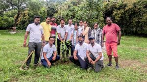  नगर निगम भिलाई ने चलाया जन सहयोग से वृक्षारोपण अभियान, 