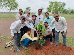  एक पेड़ मां के नाम अभियान: सहकारी समितियों में पौधेरोपण, सुरक्षा का लिया संकल्प